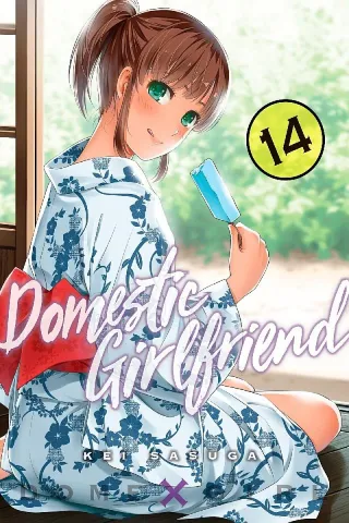 Cover of Domestic Girlfriend volume 14, English edition