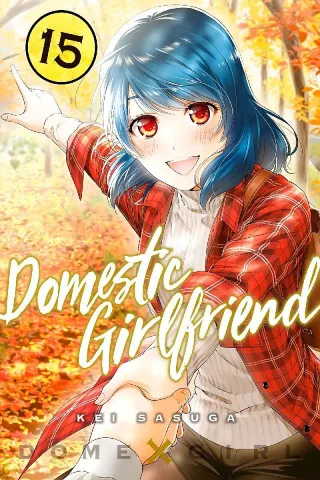 Cover of Domestic Girlfriend volume 15, English edition