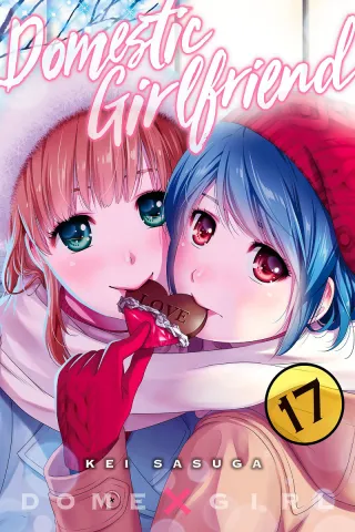 Cover of Domestic Girlfriend volume 17, English edition