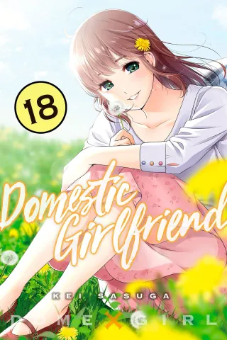 Cover of Domestic Girlfriend volume 18, English edition
