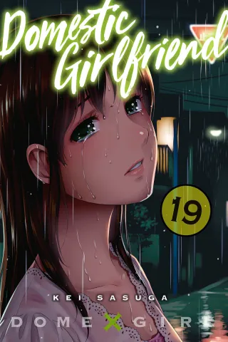 Cover of Domestic Girlfriend volume 19, English edition