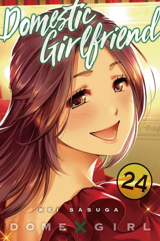 Cover of Domestic Girlfriend volume 24, English edition