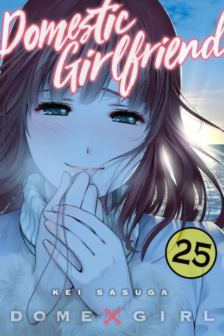 Cover of Domestic Girlfriend volume 25, English edition