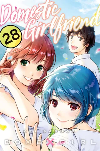 Cover of Domestic Girlfriend volume 28, English edition