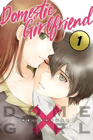 Cover of Domestic Girlfriend volume 1, English edition