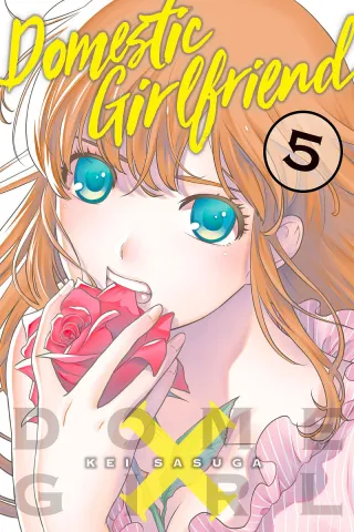 Cover of Domestic Girlfriend volume 5, English edition