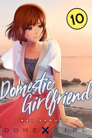 Cover of Domestic Girlfriend volume 10, English edition