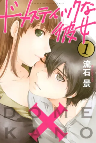 Cover of Domestic Girlfriend