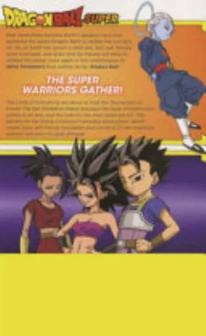Cover of Dragon Ball Super volume 6, English edition