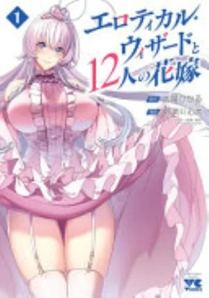 Cover of The Erotical Wizard and His Twelve Brides volume 1, English edition