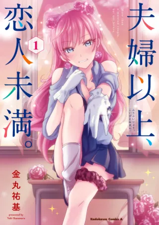 Cover of More Than a Married Couple, but Not Lovers.