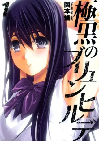 Cover of Brynhildr in the Darkness