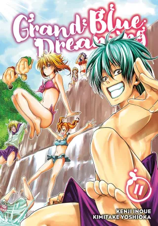 Cover of Grand Blue Dreaming volume 11, English edition