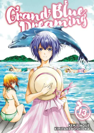 Cover of Grand Blue Dreaming volume 13, English edition