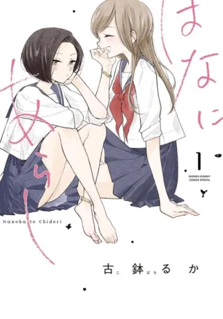 Cover of Rainbows After Storms