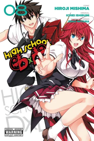 Cover of High School DxD volume 8, English edition
