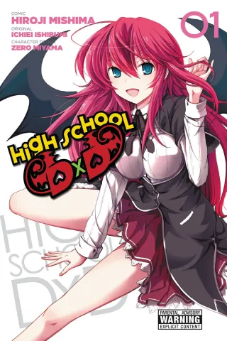 Cover of High School DxD volume 1, English edition