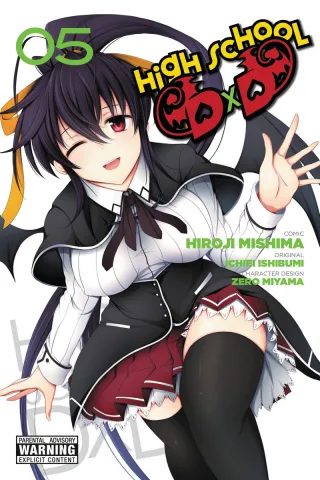 Cover of High School DxD volume 5, English edition