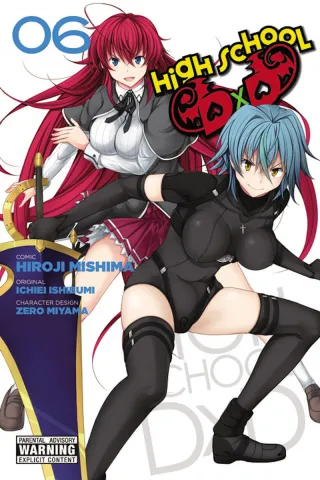 Cover of High School DxD volume 6, English edition