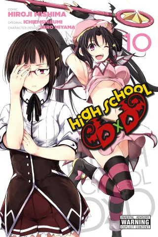 Cover of High School DxD volume 10, English edition