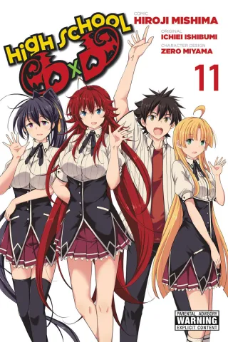 Cover of High School DxD volume 11, English edition