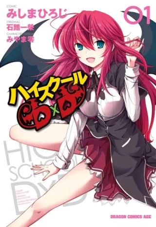 Cover of High School DxD