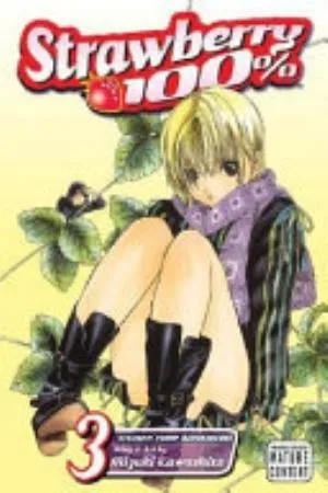 Cover of Strawberry 100% volume 3, English edition