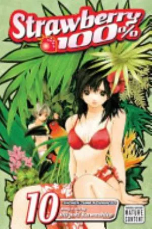 Cover of Strawberry 100% volume 10, English edition