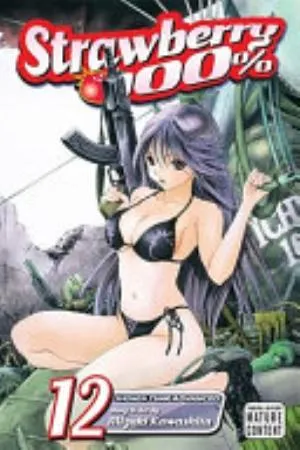 Cover of Strawberry 100% volume 12, English edition