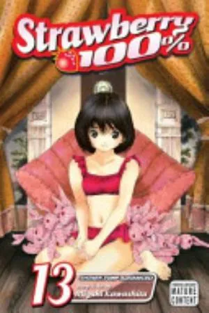 Cover of Strawberry 100% volume 13, English edition