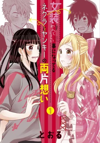 Cover of Crossplay Love: Otaku x Punk