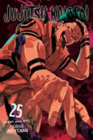 Cover of Jujutsu Kaisen volume 25, English edition