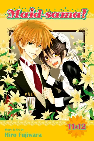 Cover of Maid-sama! volume 12, English edition