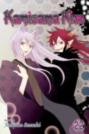 Cover of Kamisama Kiss volume 22, English edition