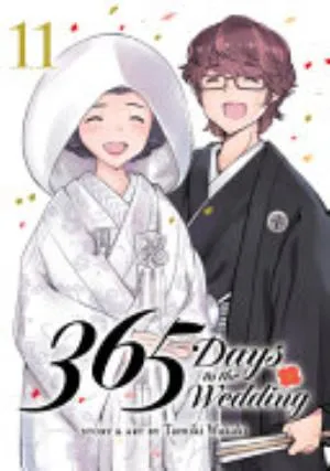 Cover of 365 Days to the Wedding volume 11, English edition