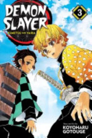 Cover of Demon Slayer: Kimetsu no Yaiba volume 3, English edition