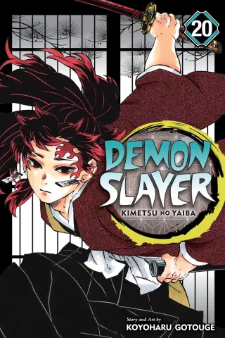 Cover of Demon Slayer: Kimetsu no Yaiba volume 20, English edition
