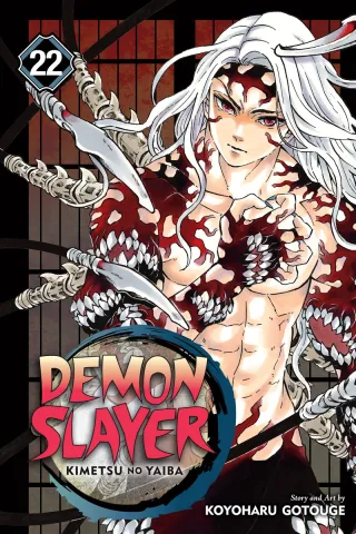 Cover of Demon Slayer: Kimetsu no Yaiba volume 22, English edition