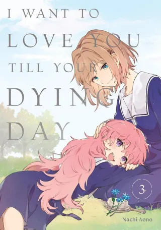 Cover of I Want to Love You Till Your Dying Day volume 3, English edition