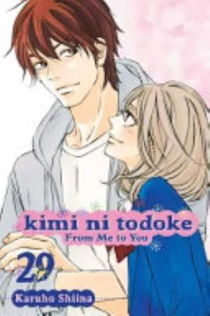 Cover of Kimi ni Todoke: From Me to You volume 29, English edition