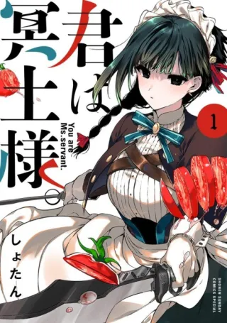Cover of Kimi wa Meido-sama.