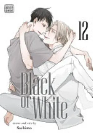 Cover of Black or White volume 12, English edition