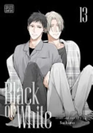 Cover of Black or White volume 13, English edition