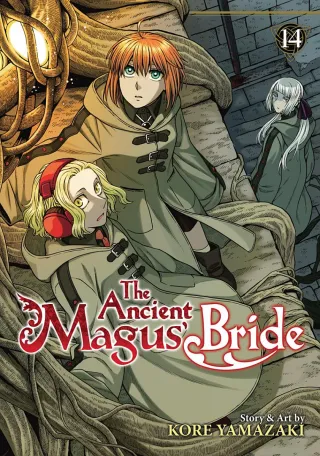 Cover of The Ancient Magus' Bride volume 14, English edition