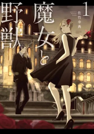 Cover of The Witch and the Beast