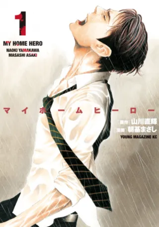 Cover of My Home Hero