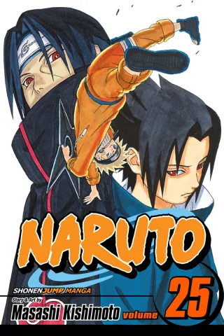 Cover of Naruto volume 25, English edition