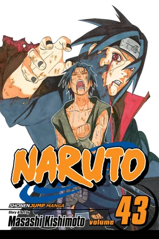Cover of Naruto volume 43, English edition