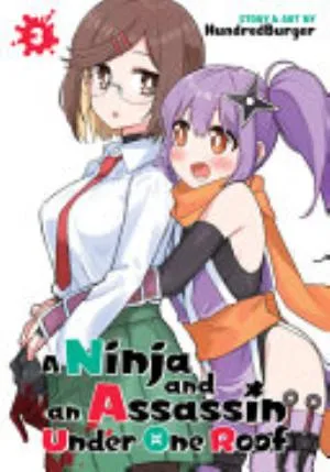 Cover of A Ninja and an Assassin Under One Roof volume 3, English edition