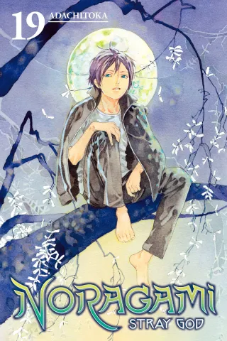 Cover of Noragami: Stray God volume 19, English edition